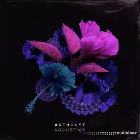 Arthouse Acoustics GloFi: RnB and Hip Hop [WAV] - Sample Pack Artwork
