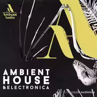 Artisan Audio Ambient House and Electronica [WAV]