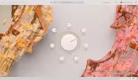 Arturia Augmented Bundle 2024.08 [MacOSX] - Sample Pack Artwork