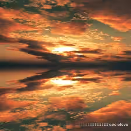 Arturia Presets Canada Board Tribute [Synth Presets] - Sample Pack Artwork