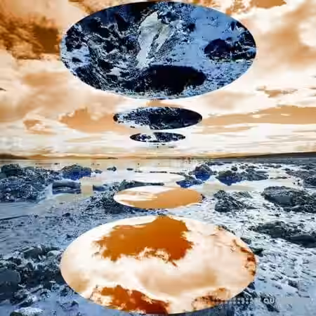 Arturia Presets Tangerine Tribute UNLOCKED [Synth Presets] - Sample Pack Artwork