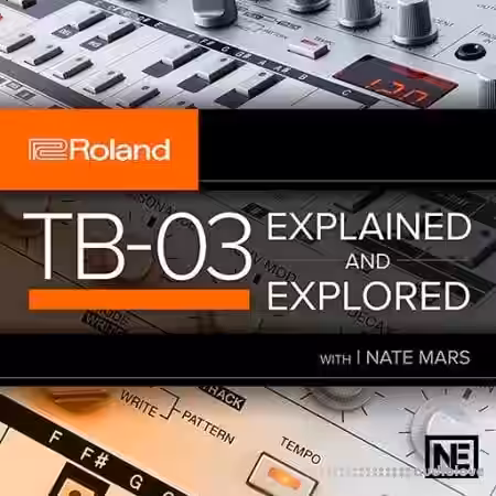 Ask Video Roland Boutique 104 TB-03 Explained and Explored [TUTORiAL] - Sample Pack Artwork
