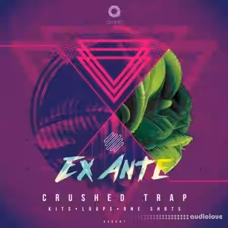 Asonic Ex Ante [WAV] - Sample Pack Artwork