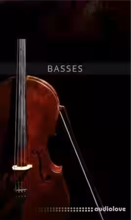Auddict United Strings of Europe: Basses [KONTAKT] - Sample Pack Artwork