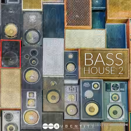 Audentity Records Bass House Vol.2 [WAV, Synth Presets] - Sample Pack Artwork