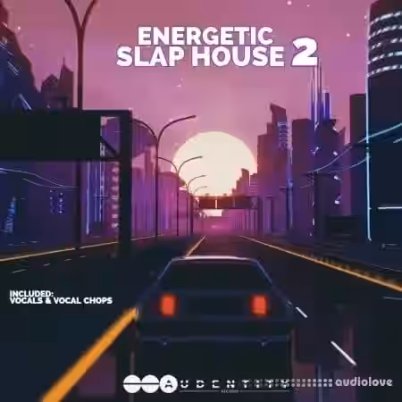Audentity Records Energetic Slap House 2 [WAV, Synth Presets] - Sample Pack Artwork