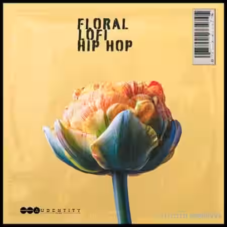 Audentity Records Floral Lofi Hip Hop [WAV] - Sample Pack Artwork