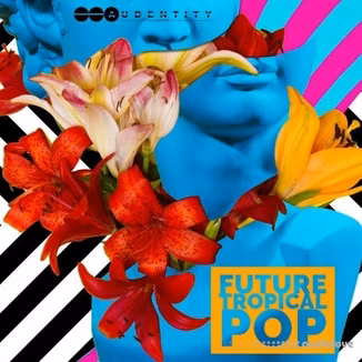 Audentity Records Future Tropical Pop [WAV, MiDi]