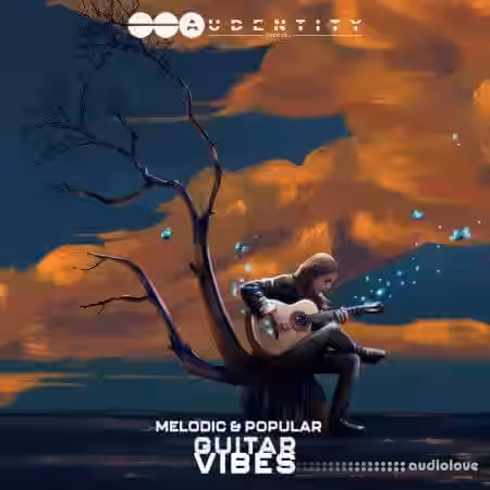 Audentity Records Melodic and Popular Guitar Vibes [WAV] - Sample Pack Artwork