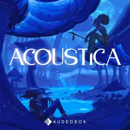 AudeoBox Acoustica [WAV] - Sample Pack Artwork