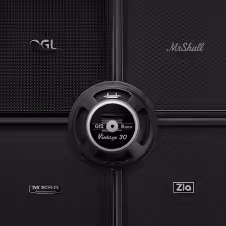 Audio Assault Seacow Cabs OVERSIZED BEASTS: BKV30 Amp Locker Cabs Presets IRs [Plugins Presets] - Sample Pack Artwork