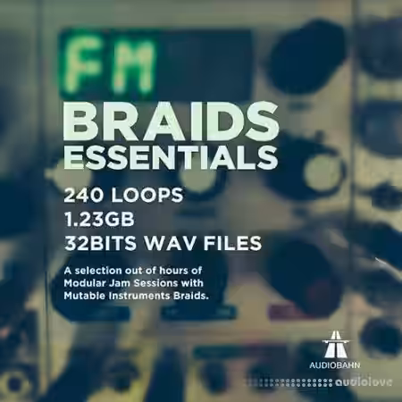 Audiobahn Braids Essentials [WAV] - Sample Pack Artwork