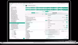 Audiofile Engineering Myriad v4.2.1 [MacOSX]