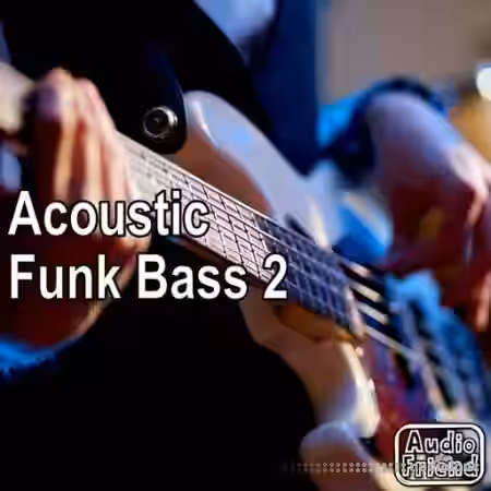 AudioFriend Acoustic Funk Bass 2 [WAV] - Sample Pack Artwork