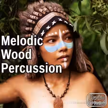 AudioFriend Melodic Wood Percussion [WAV] - Sample Pack Artwork