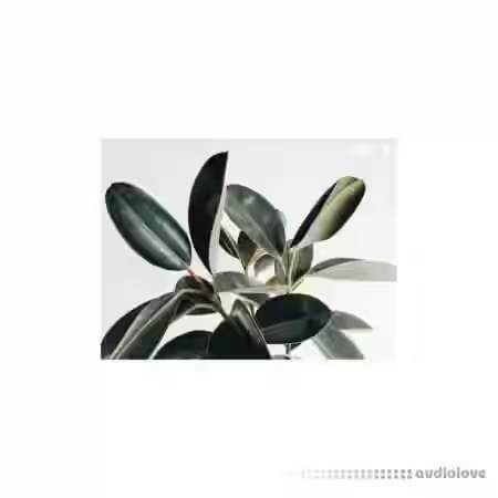 Austin Marc Drum Kit Vol.1 [WAV] - Sample Pack Artwork