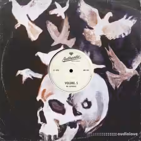 Authentic Music Library Vol.5 (STEMS) [WAV] - Sample Pack Artwork