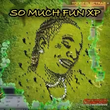 Ave Mcree So Much Fun XP for Tone2 ElectraX 1.4 or Higher [Synth Presets] - Sample Pack Artwork