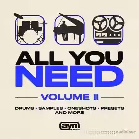 AYN Sounds All You Need Vol. II [WAV, MiDi, Synth Presets] - Sample Pack Artwork