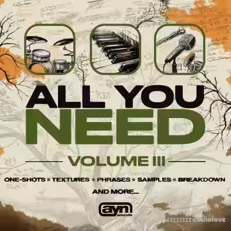 AYN Sounds All You Need Vol.3 Full Bundle [WAV, MiDi, Synth Presets] - Sample Pack Artwork