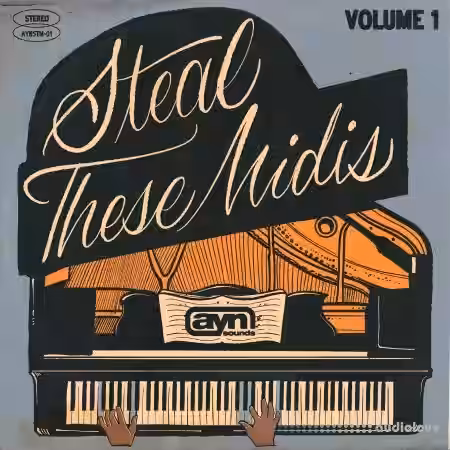 AYN Sounds Steal These Midis Vol.1 [MiDi] - Sample Pack Artwork