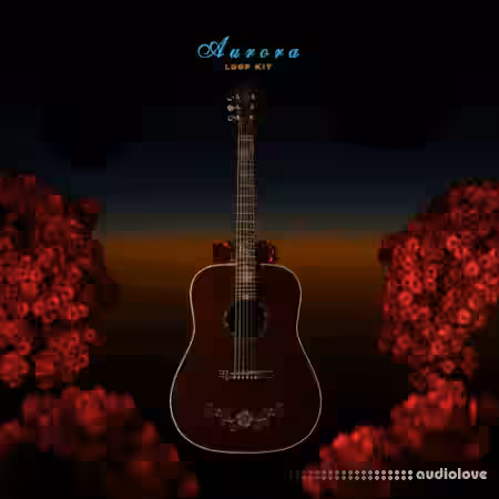 Ayoludo Aurora Loop Kit [WAV] - Sample Pack Artwork