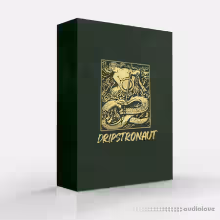 Ayy Walker Dripstronaut Drum Kit / Loop Kit [WAV, DAW Templates] - Sample Pack Artwork