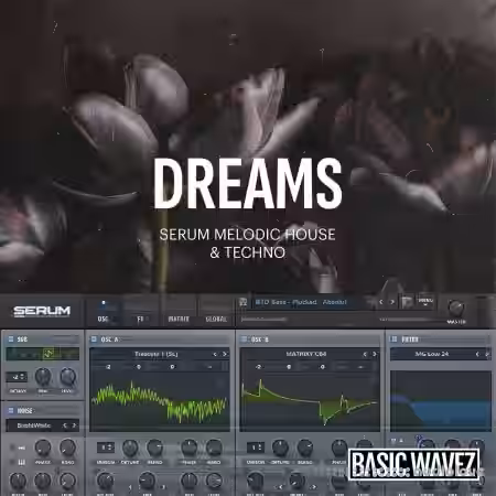Baisc Wavez Dreams Melodic House and Techno Presets [Synth Presets] - Sample Pack Artwork