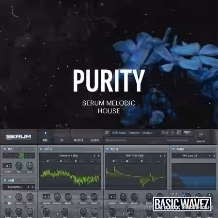 Baisc Wavez Embers Purity Melodic House Presets [Synth Presets] - Sample Pack Artwork