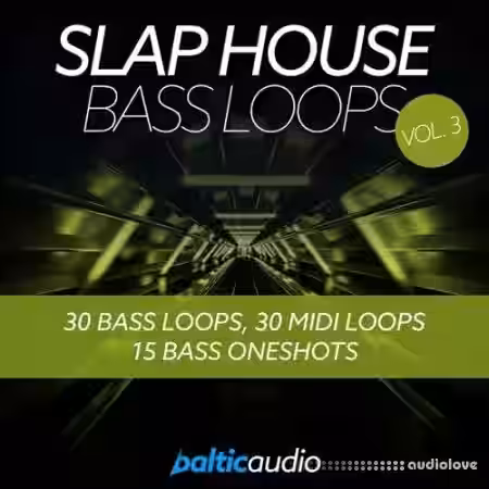 Baltic Audio Slap House Bass Loops Vol.3 [WAV, MiDi] - Sample Pack Artwork