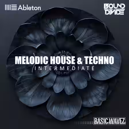 Basic Wavez (Intermediate) Write 2 Melodic House and Techno Tracks with Bound to Divide [TUTORiAL] - Sample Pack Artwork