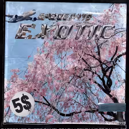 Basobeats Exotic Sample Pack [WAV] - Sample Pack Artwork