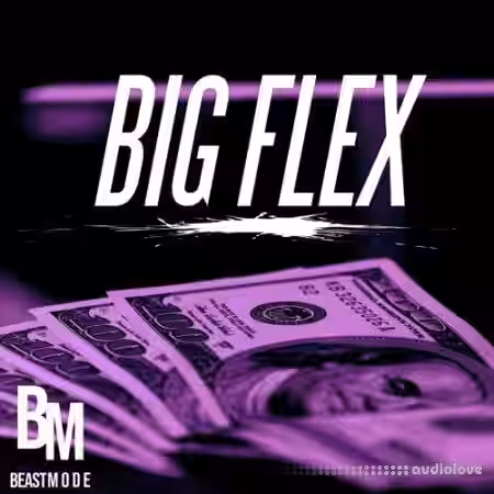 Beast Mode Big Flex [WAV] - Sample Pack Artwork