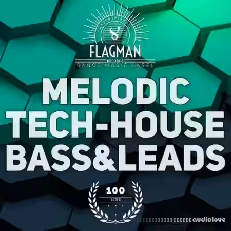 Beatrising Flagman Melodic Tech House Bass & Leads Samples [WAV] - Sample Pack Artwork