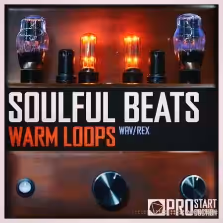 Beatrising Soulful Beats Warm Loops [WAV] - Sample Pack Artwork