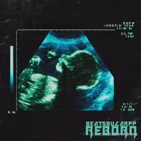 beatsbycarpp Reborn [WAV] - Sample Pack Artwork