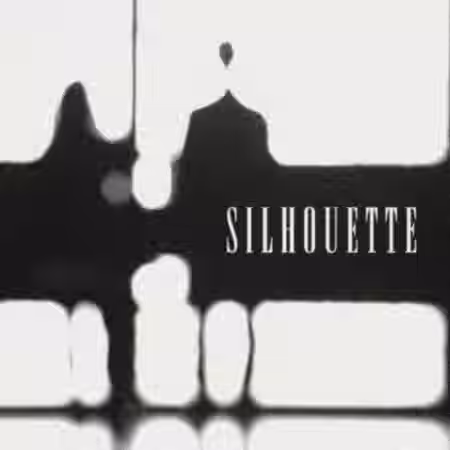 Beatsbycarpp Silhouette [WAV] - Sample Pack Artwork