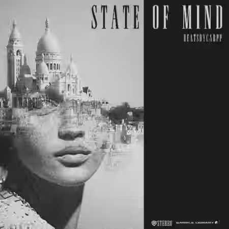 beatsbycarpp State of Mind [WAV] - Sample Pack Artwork