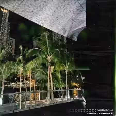 beatsbycarpp Vibes Outta Miami [WAV] - Sample Pack Artwork