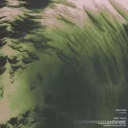 Beatsinner Cherimoya Sample Library (Compositions) [WAV] - Sample Pack Artwork