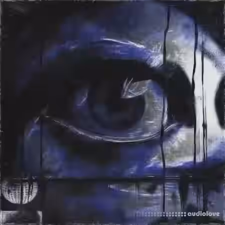 Beck Insomnia Vol.3 [WAV] - Sample Pack Artwork