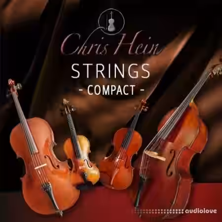 Best Service Chris Hein Strings Compact [KONTAKT] - Sample Pack Artwork