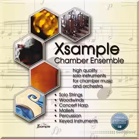 Best Service Xsample Chamber Ensemble [KONTAKT] - Sample Pack Artwork