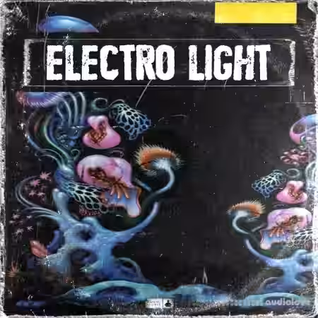 Bfractal Music Electro Light [WAV, MiDi] - Sample Pack Artwork