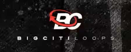 Big Citi Loops BUNDLE 67-in-1 [WAV] - Sample Pack Artwork
