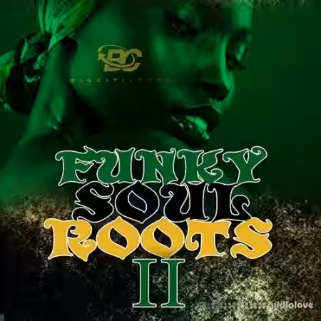 Big Citi Loops Funky Soul Roots 2 [WAV, MiDi] - Sample Pack Artwork