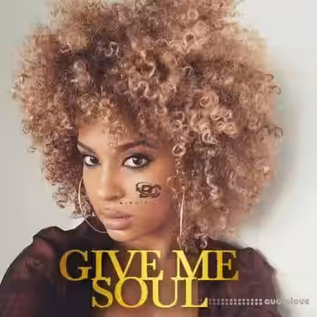 Big Citi Loops Give Me Soul [WAV] - Sample Pack Artwork