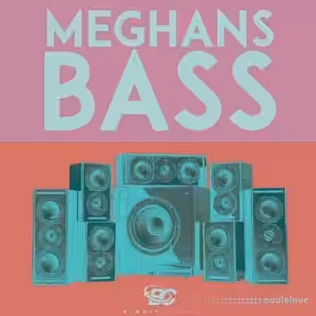 Big Citi Loops Meghan's Bass [WAV, MiDi] - Sample Pack Artwork