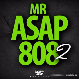 Big Citi Loops Mr Asap 808 2 [WAV]