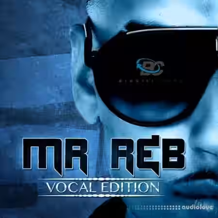 Big Citi Loops Mr. RnB Vocal Edition [WAV] - Sample Pack Artwork